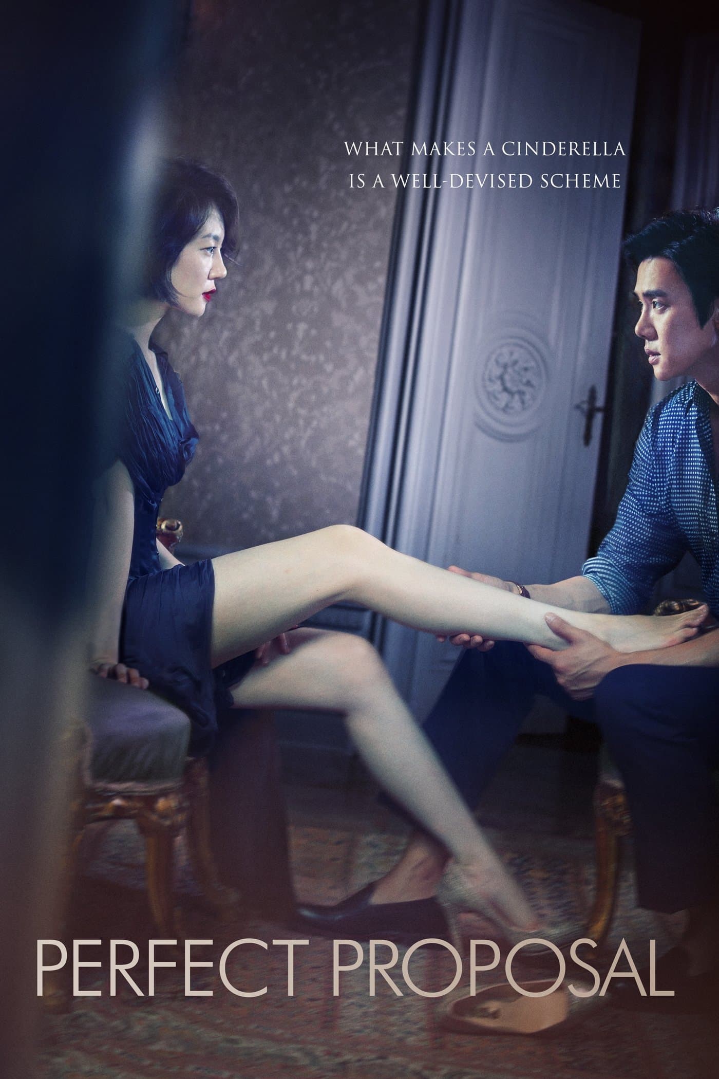 Perfect Proposal Movie Poster