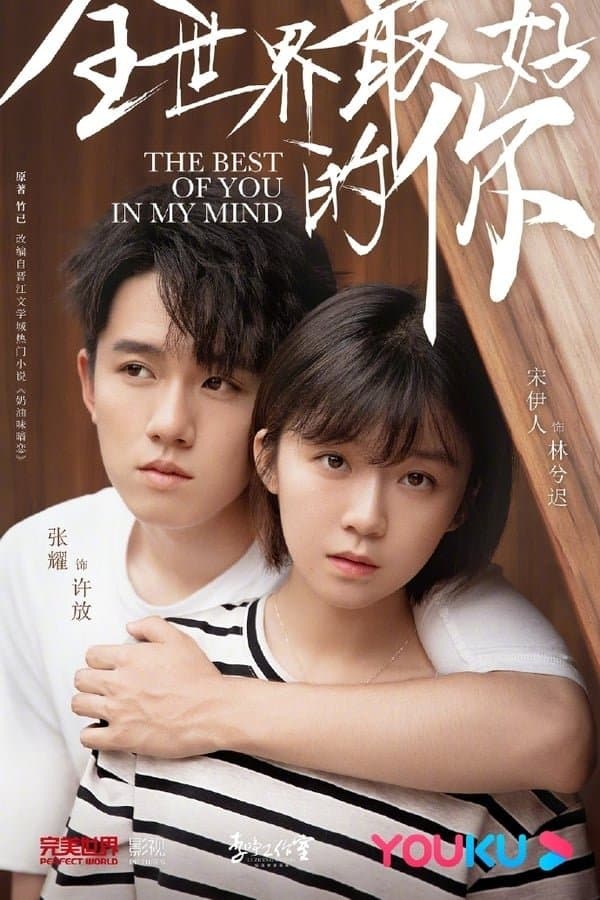 The Best of You in My Mind TV Show Poster