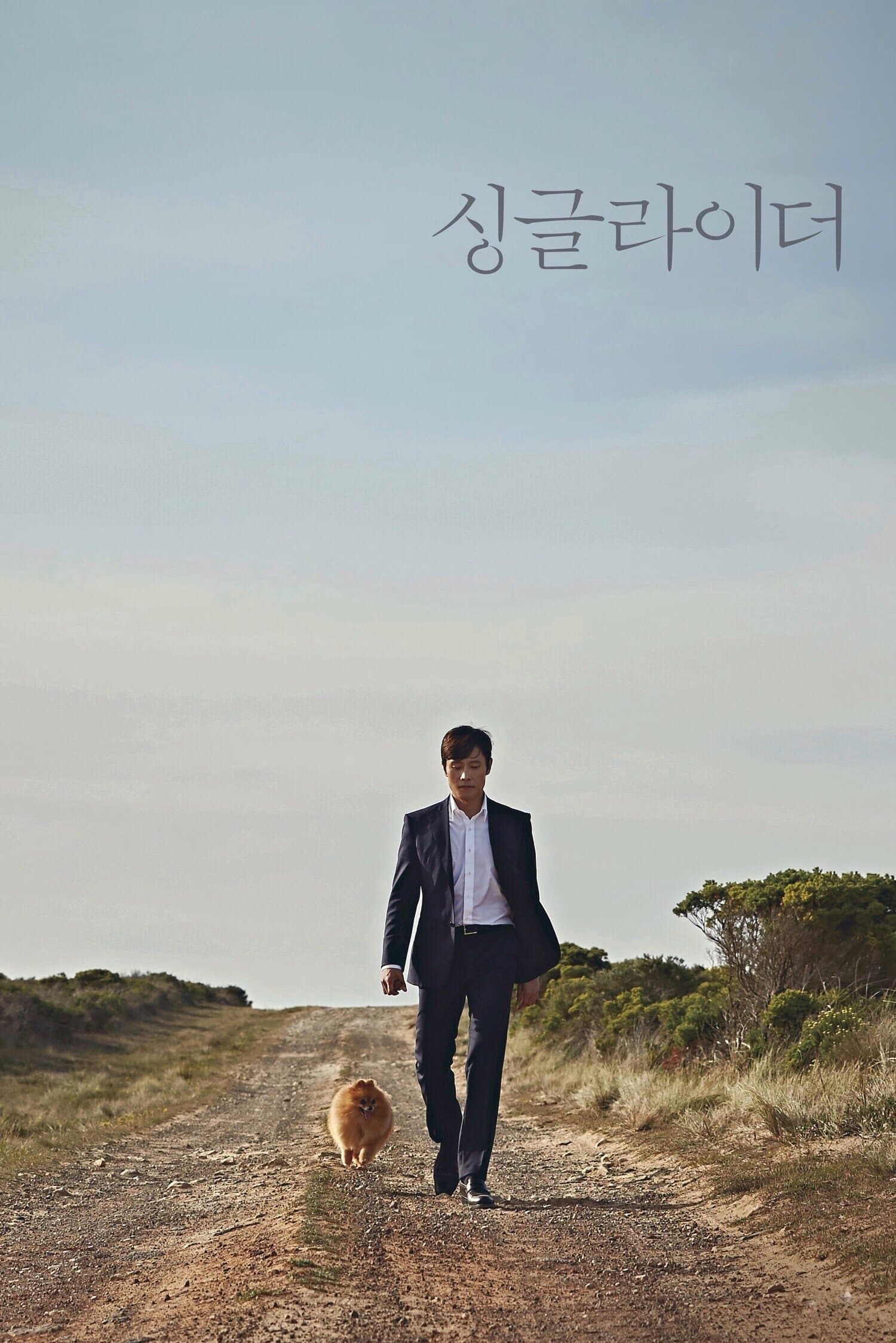 null Movie Poster