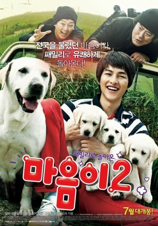null Movie Poster