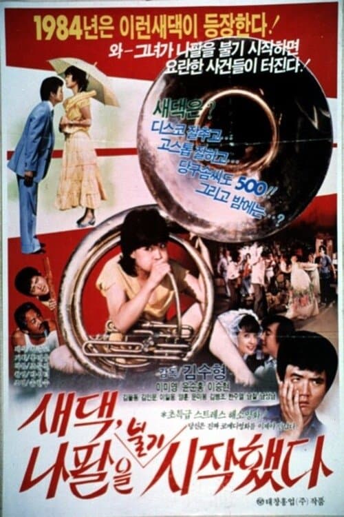 새댁 나팔을 불기 시작했다 Movie Poster