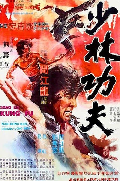 Shaolin Kung Fu Movie Poster
