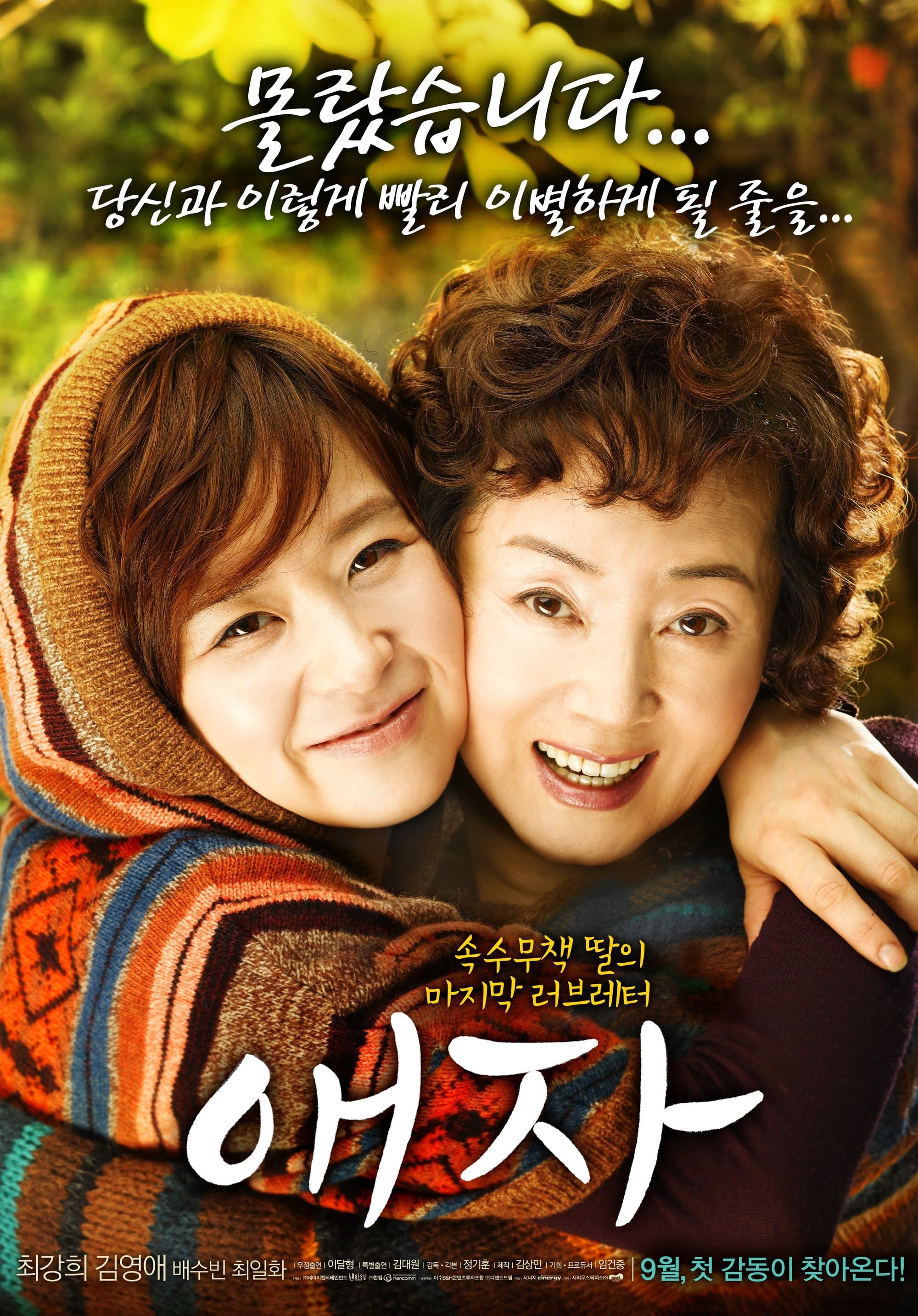 Goodbye Mom Movie Poster