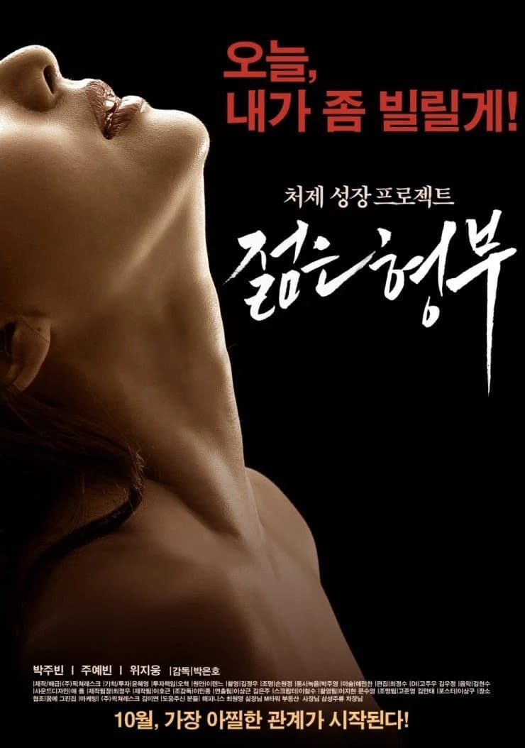 Sister's Younger Husband Movie Poster