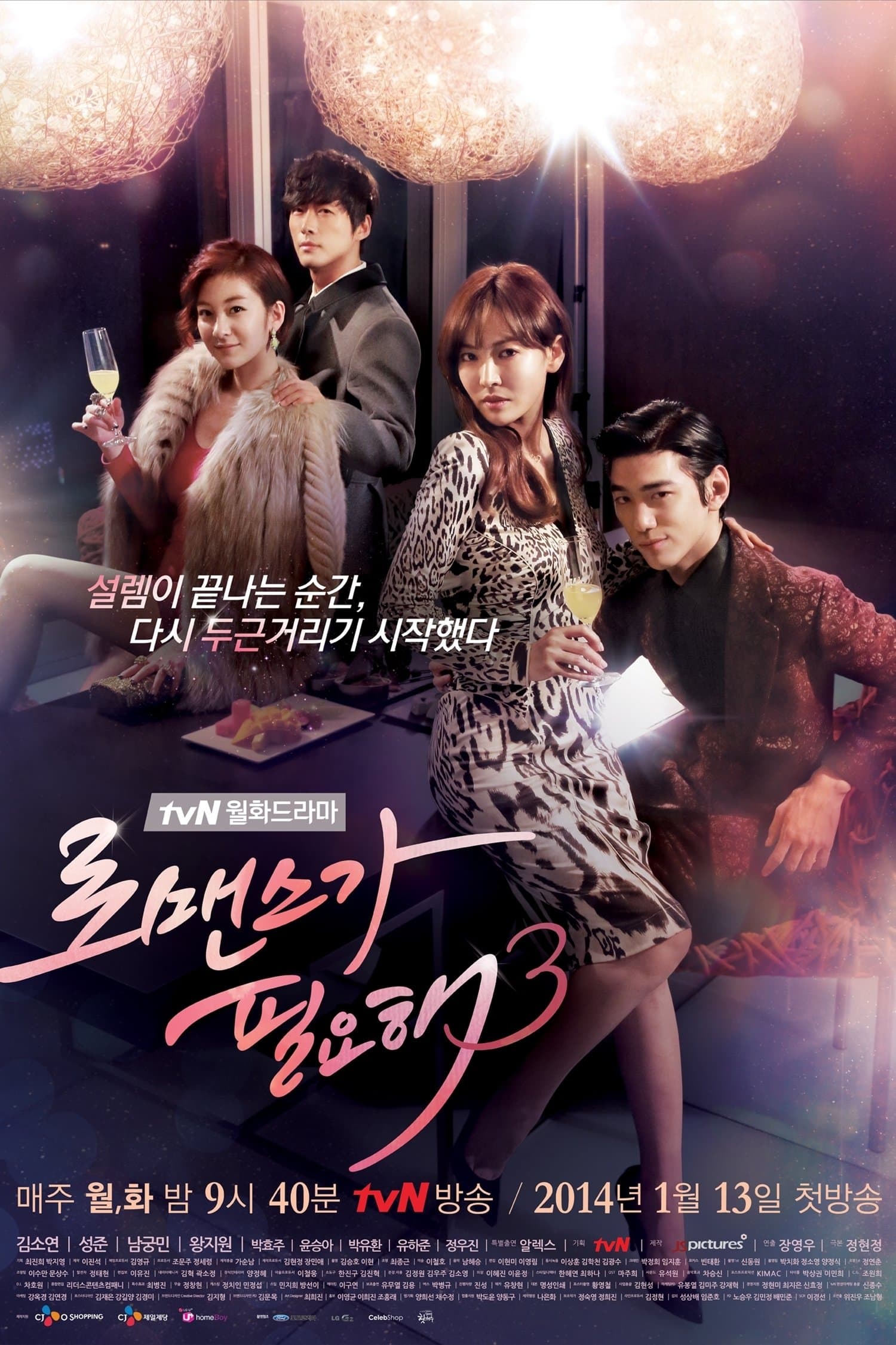 I Need Romance TV Show Poster