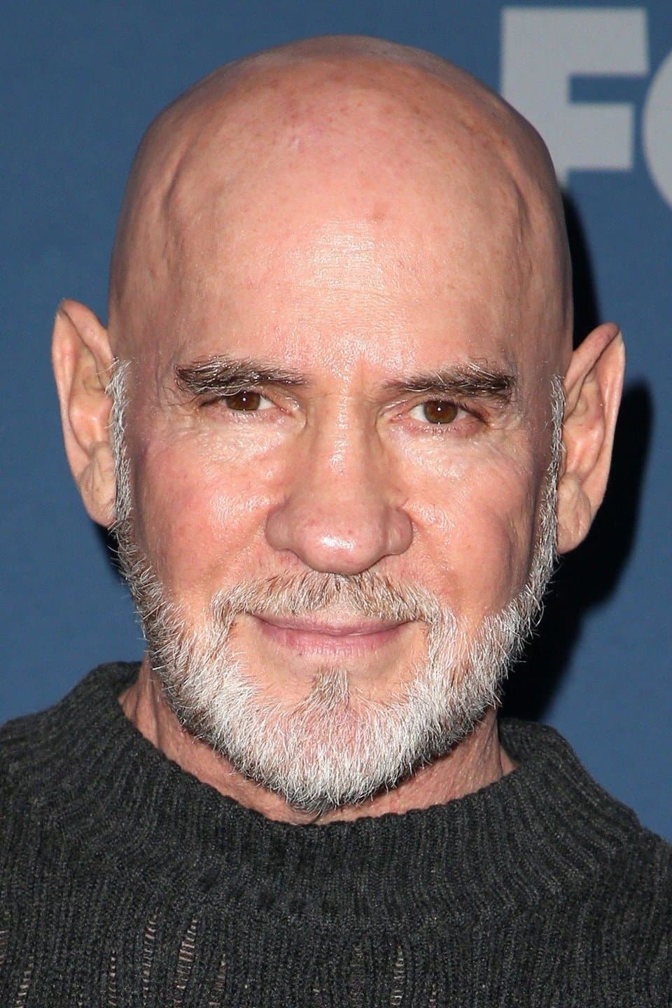 Mitch Pileggi Profile Photo