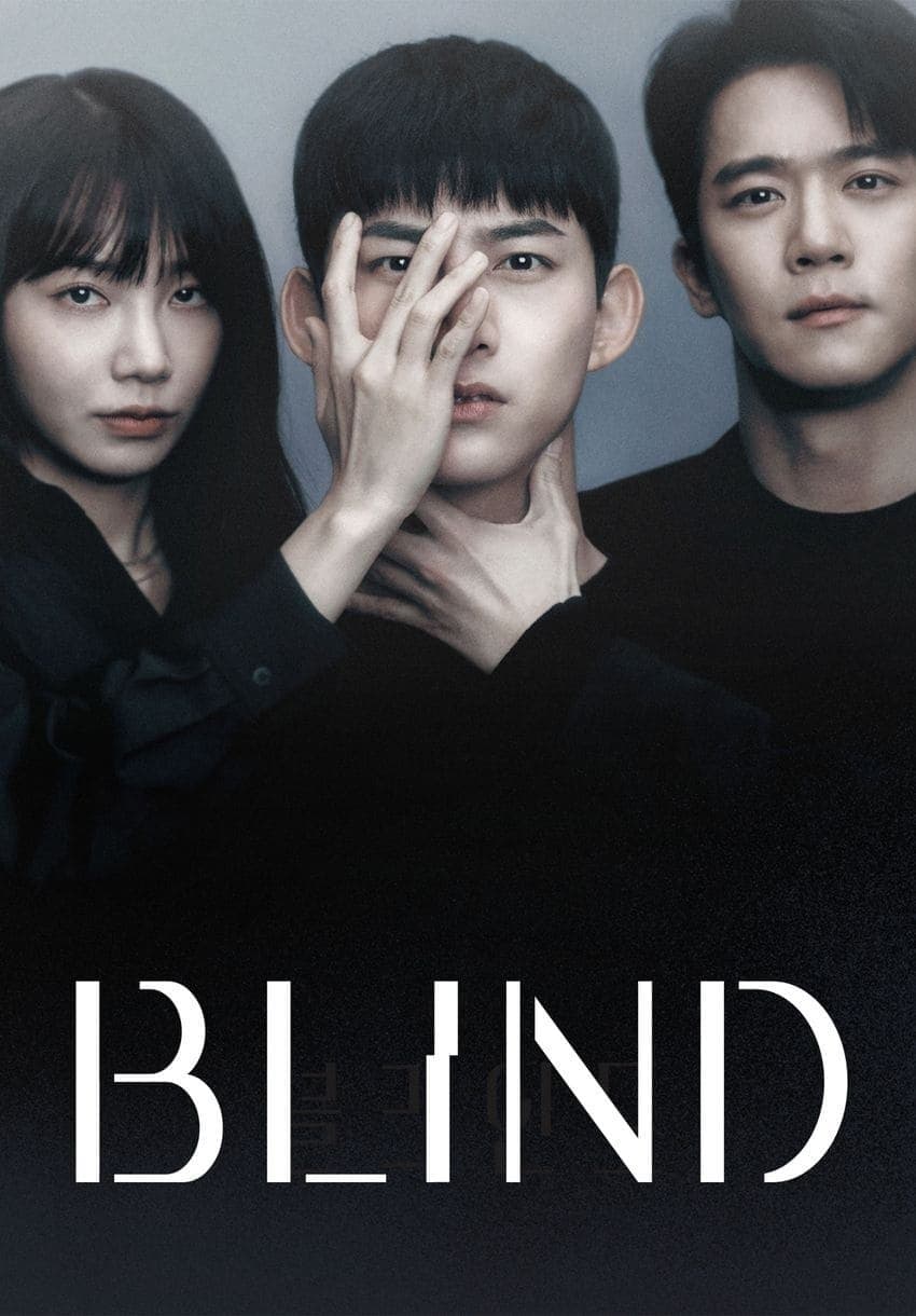 Blind TV Show Poster