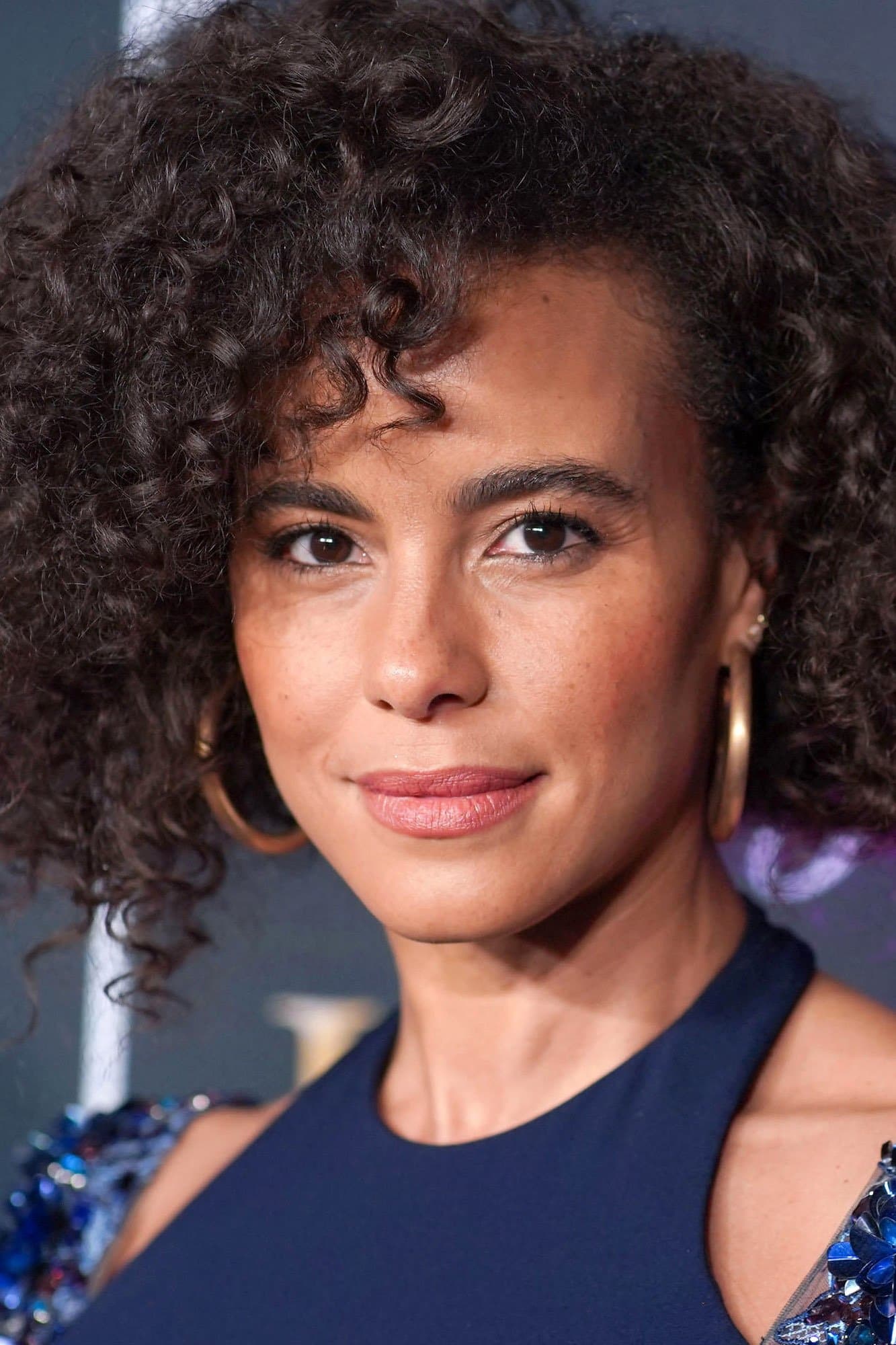 Parisa Fitz-Henley Profile Photo