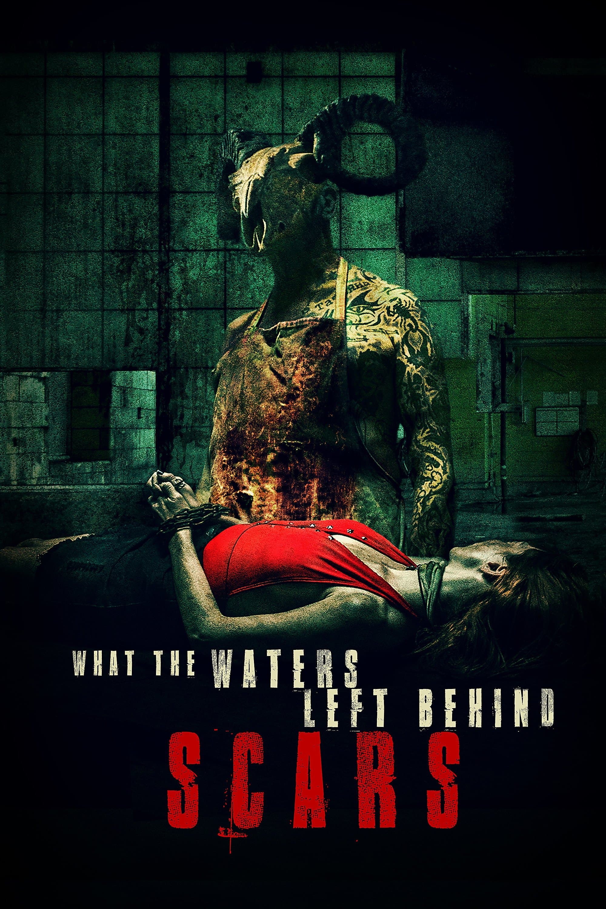 What the Waters Left Behind: Scars Movie Poster