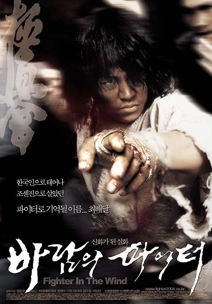 Fighter in the Wind Movie Poster