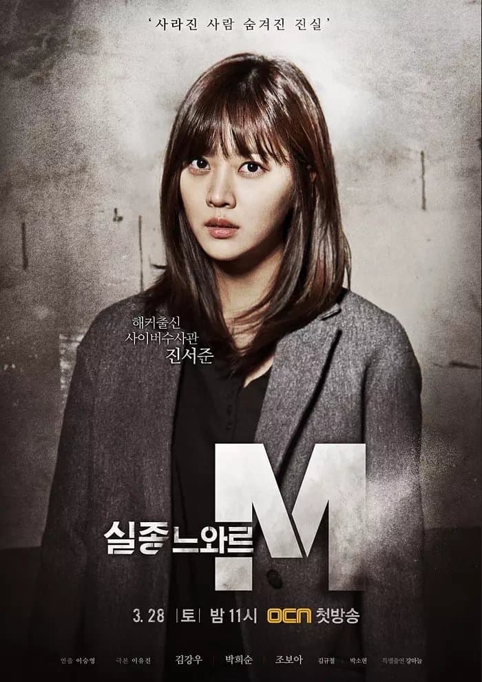 Missing Noir M TV Show Poster