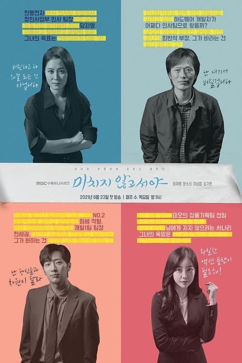 On the Verge of Insanity TV Show Poster