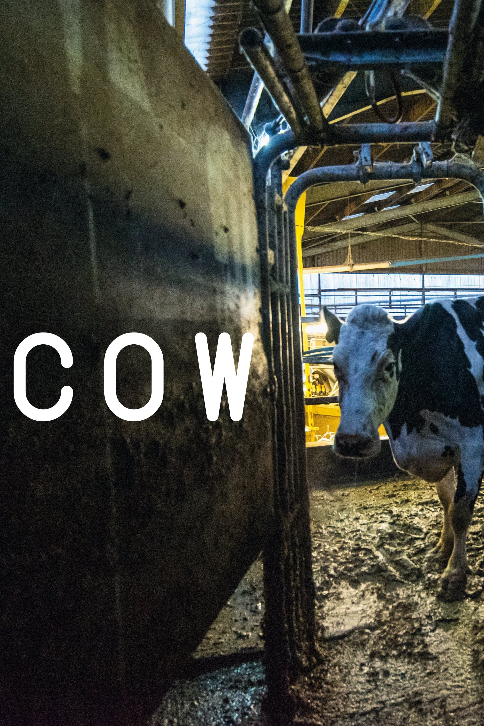 Cow Movie Poster
