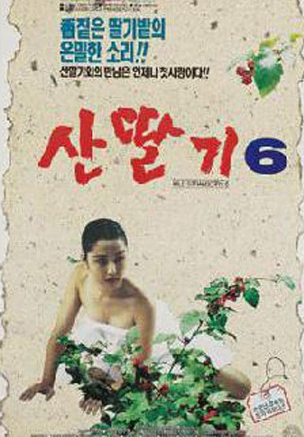 Mountain Strawberries 6 Movie Poster