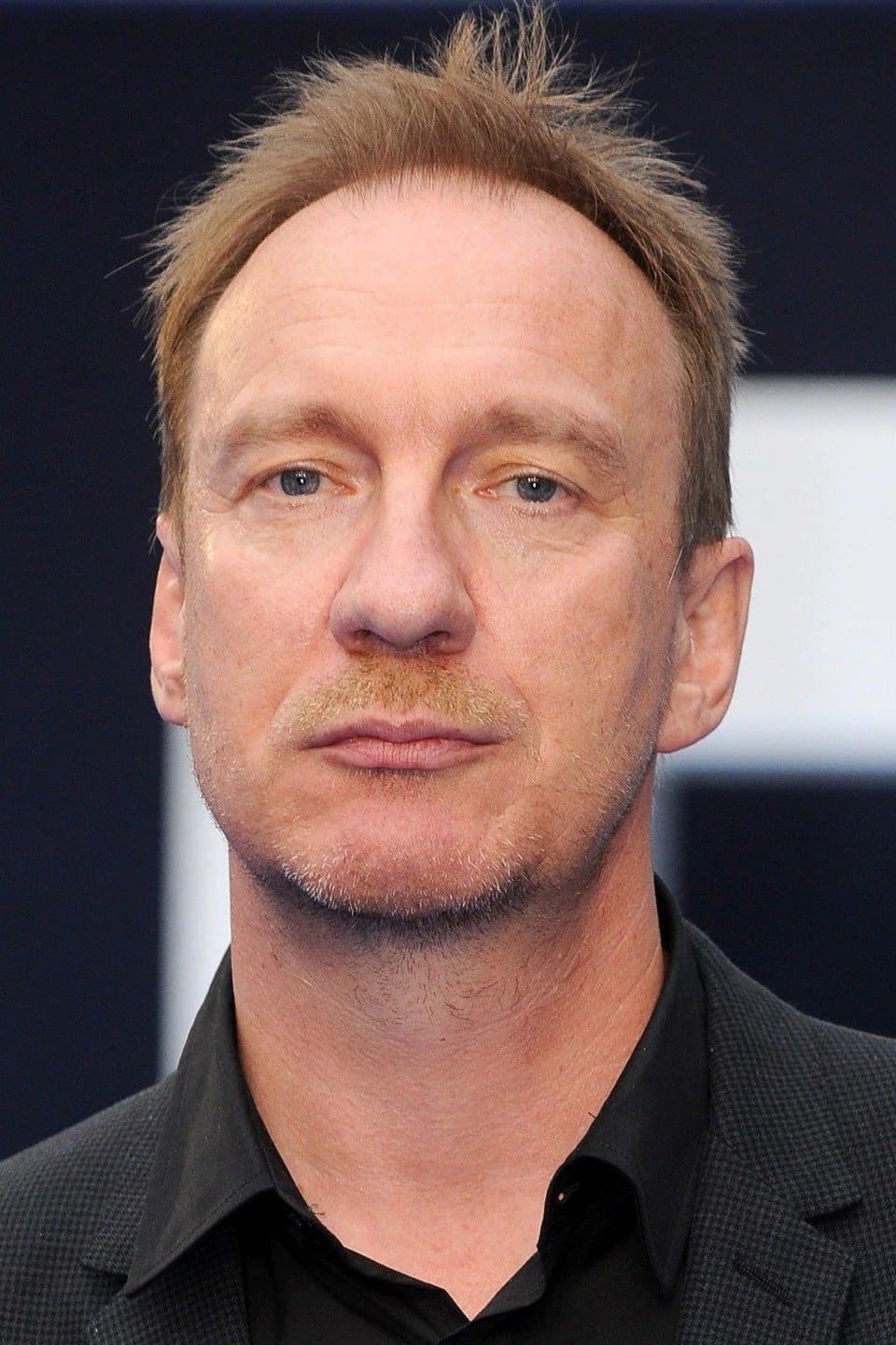 David Thewlis Profile Photo
