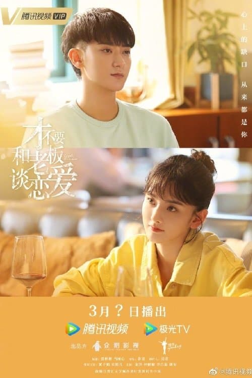Legally Romance TV Show Poster