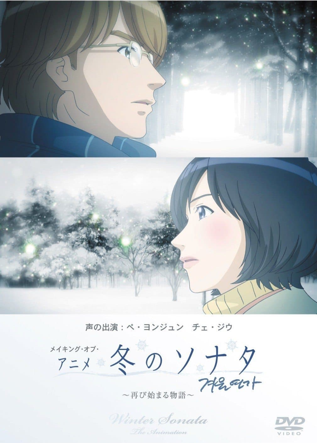 Winter Sonata TV Show Poster