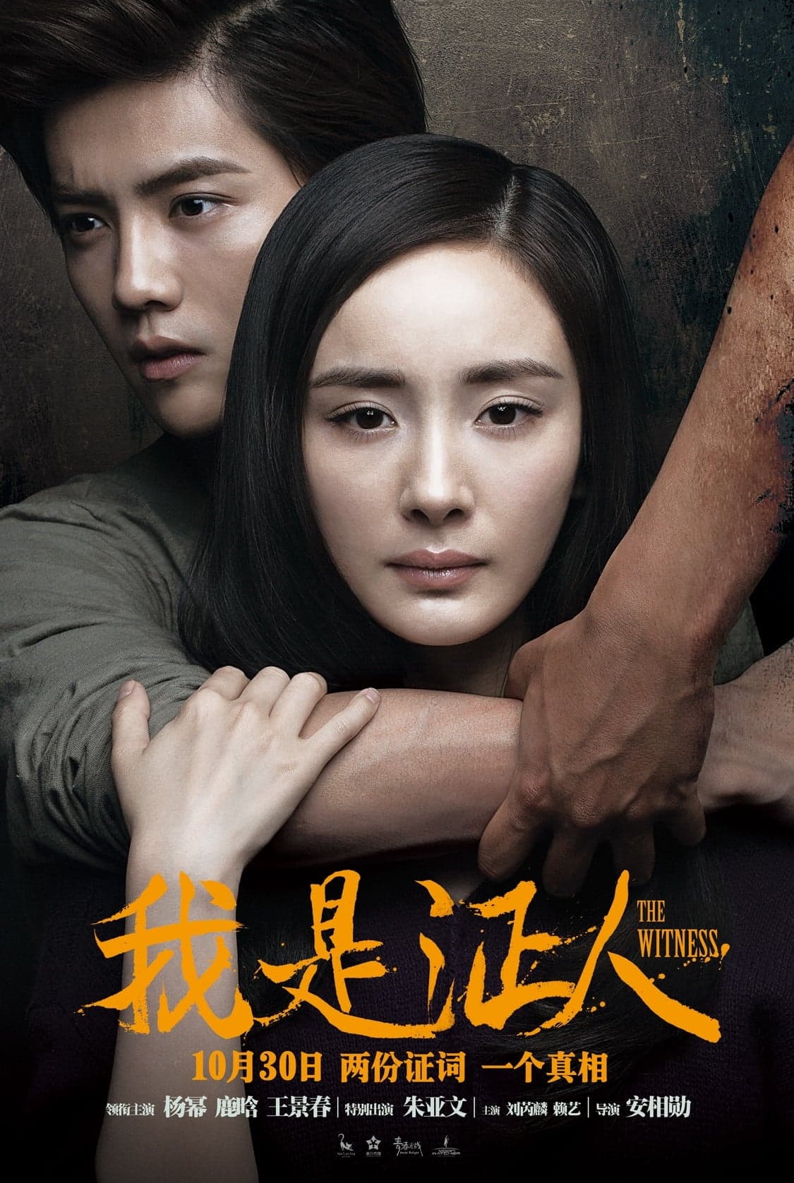 The Witness Movie Poster