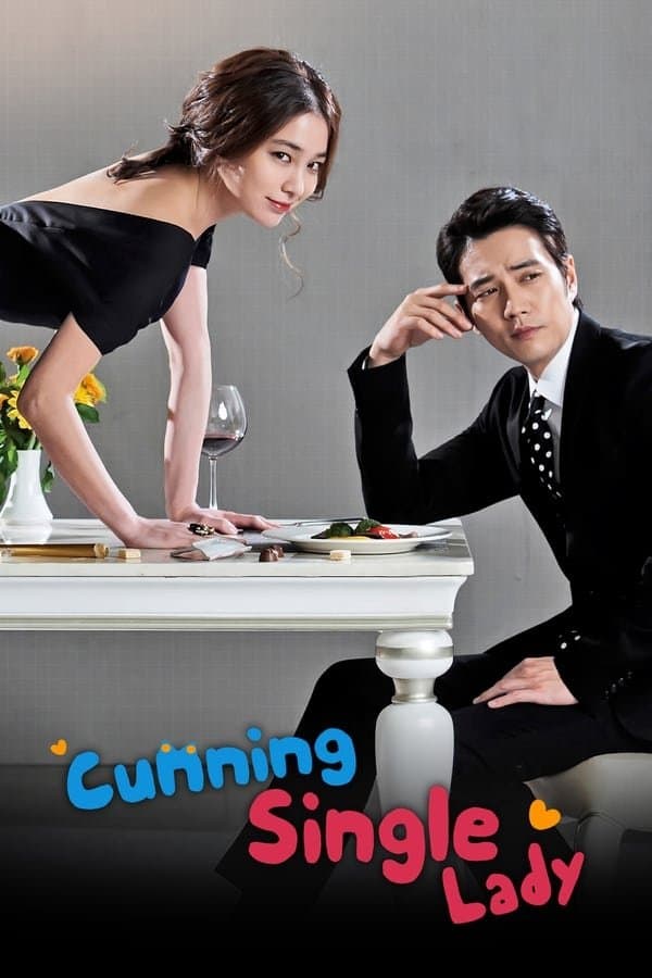 Cunning Single Lady TV Show Poster