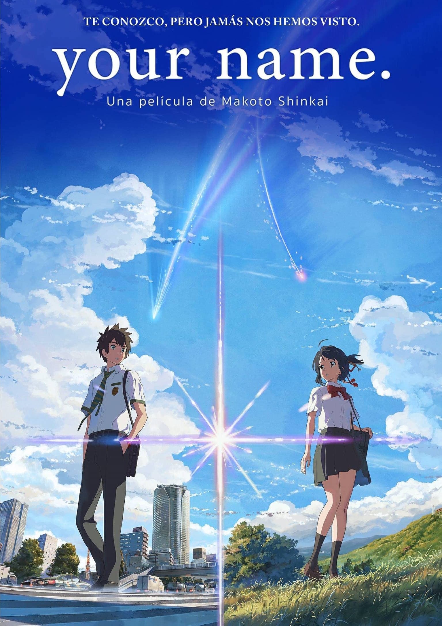 Your Name. Movie Poster