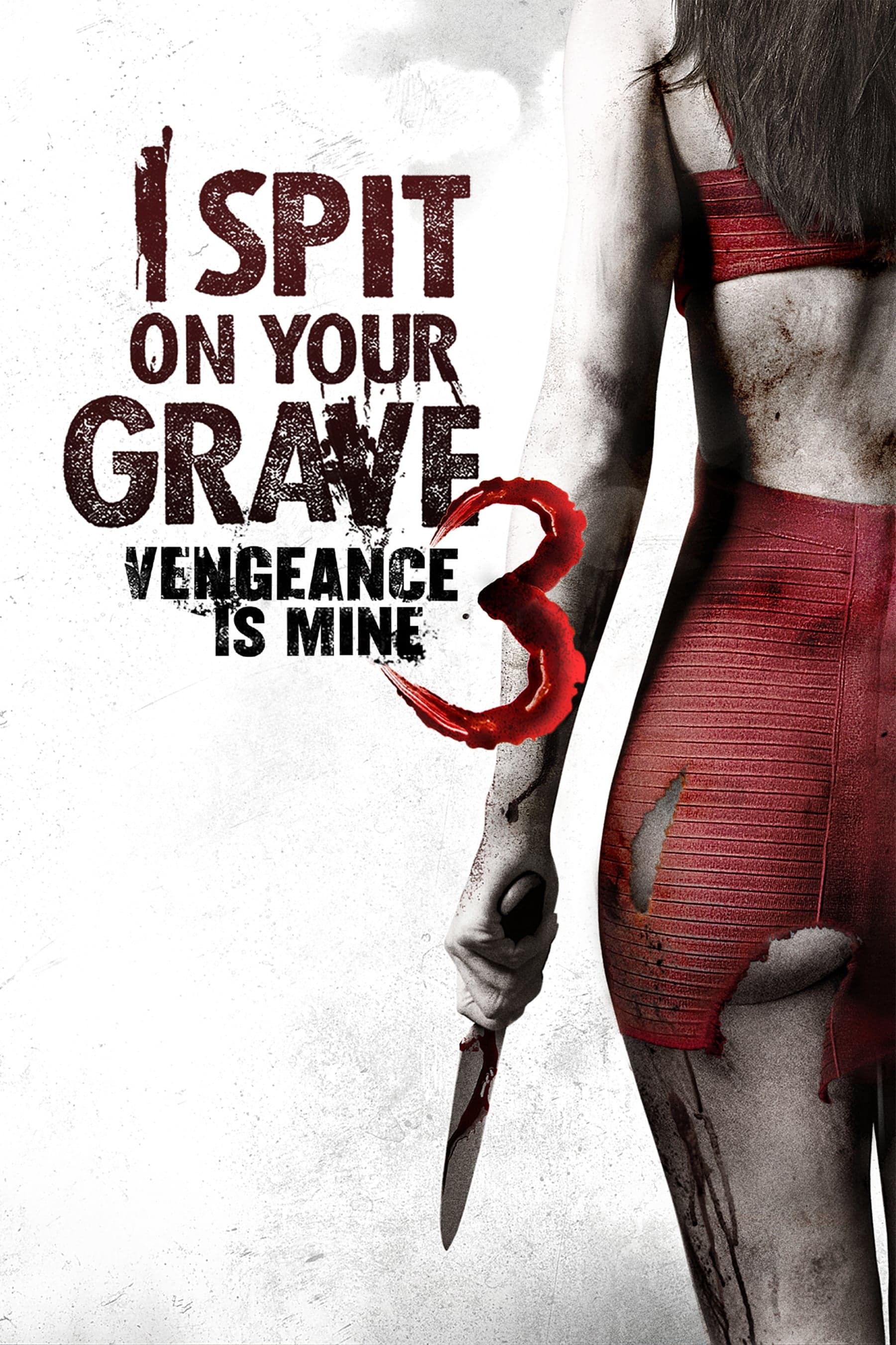I Spit on Your Grave III: Vengeance Is Mine Movie Poster