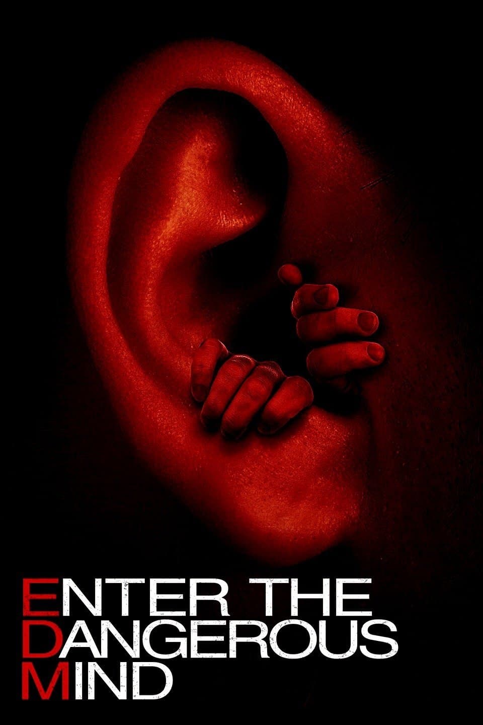 Enter the Dangerous Mind Movie Poster
