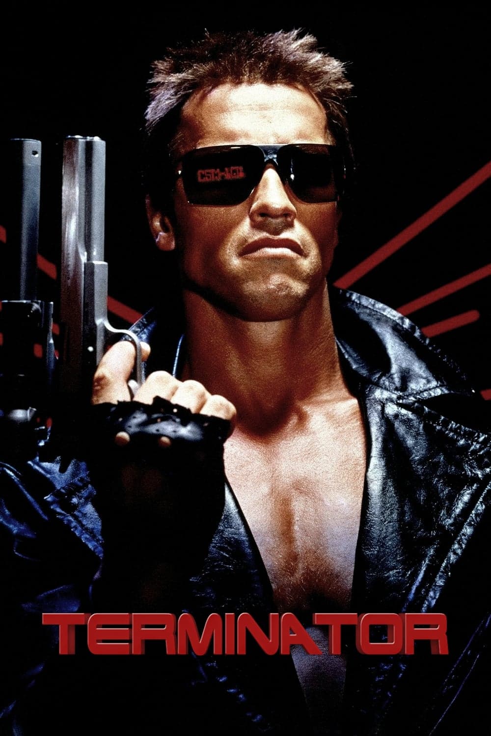 The Terminator Movie Poster