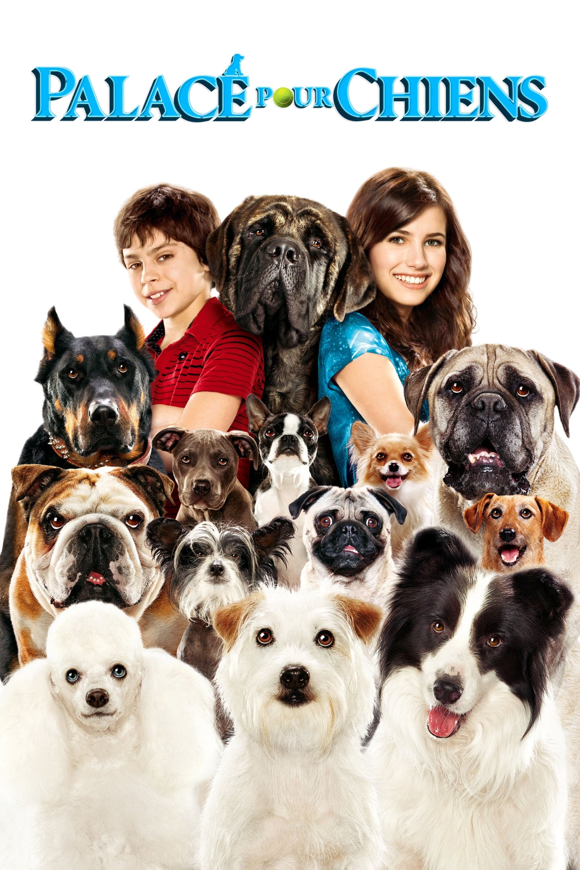 Hotel for Dogs Movie Poster