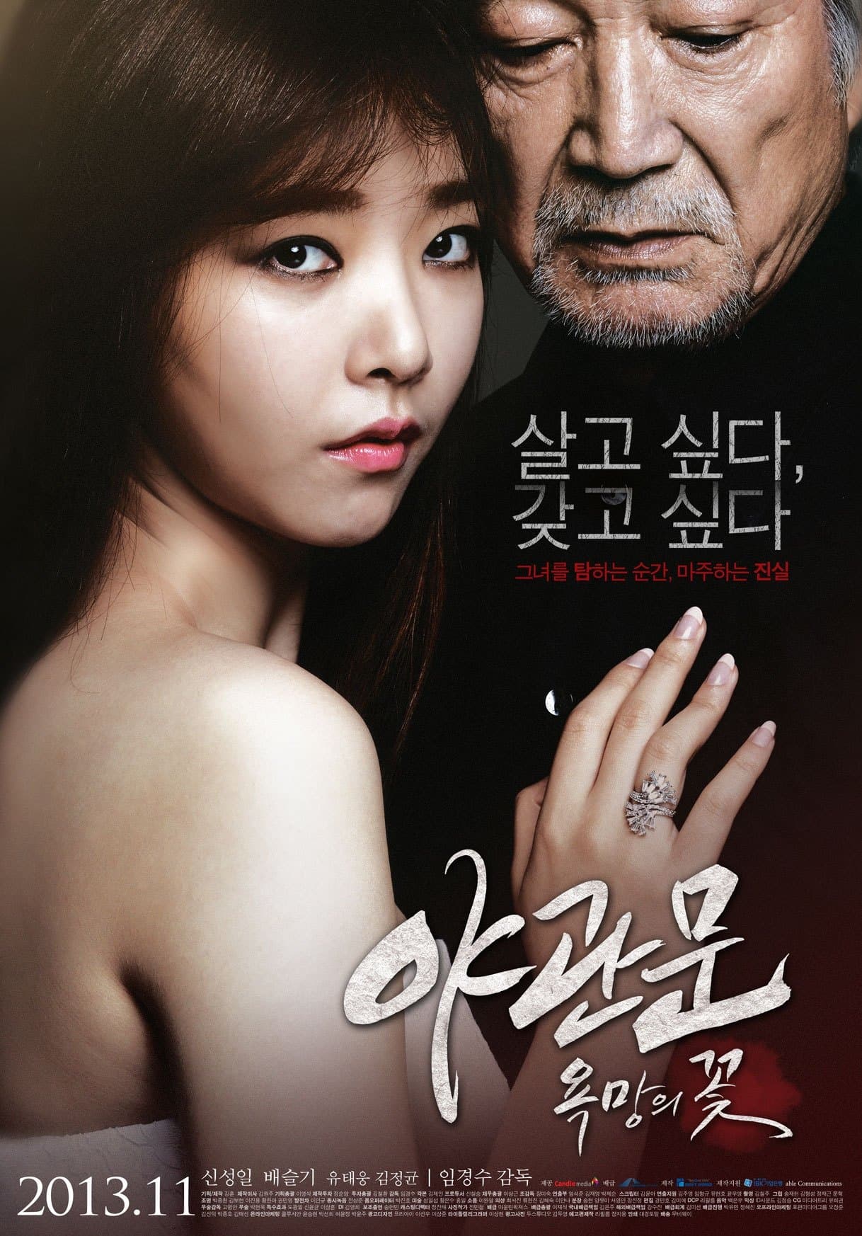 Door to the Night Movie Poster