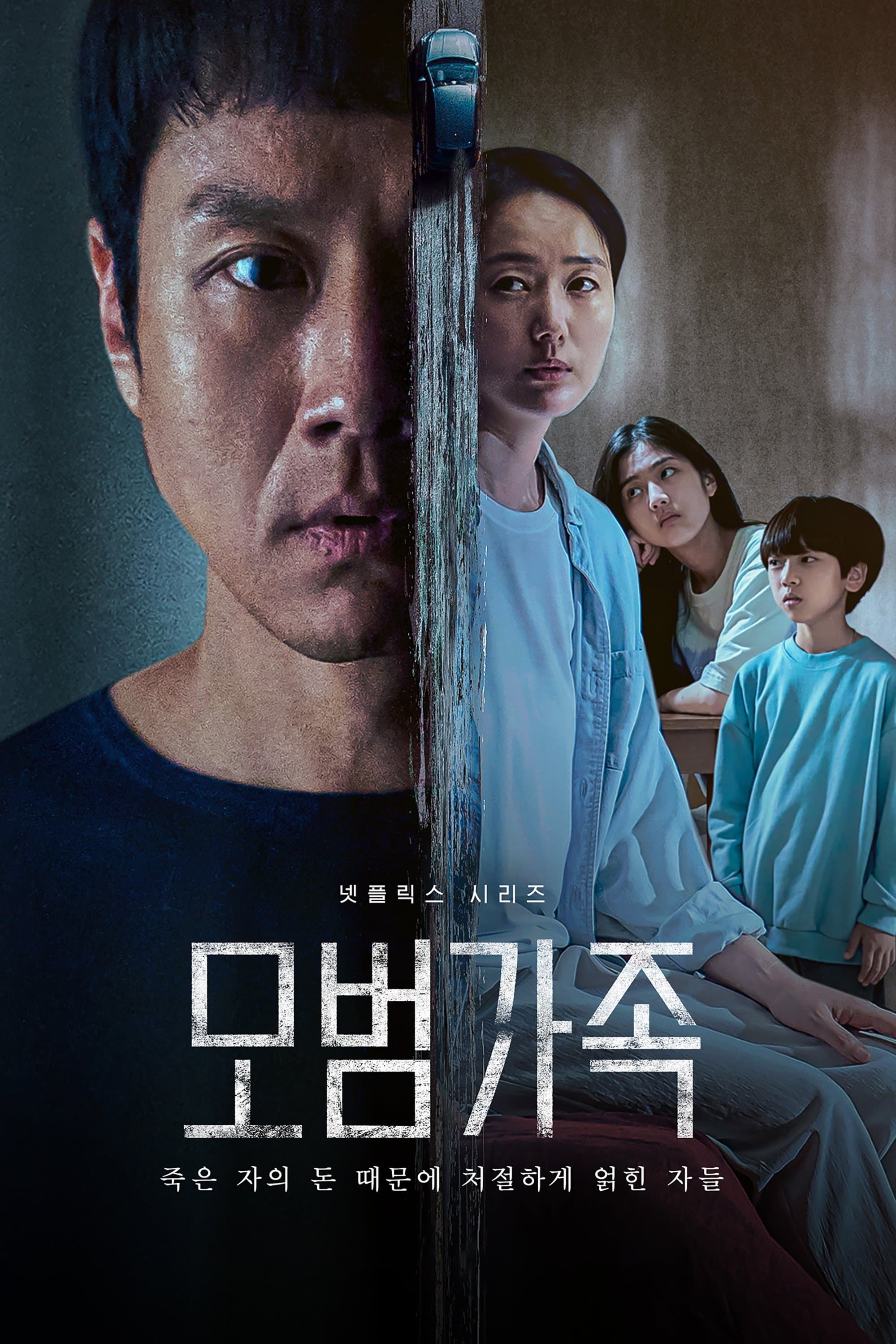 A Model Family TV Show Poster
