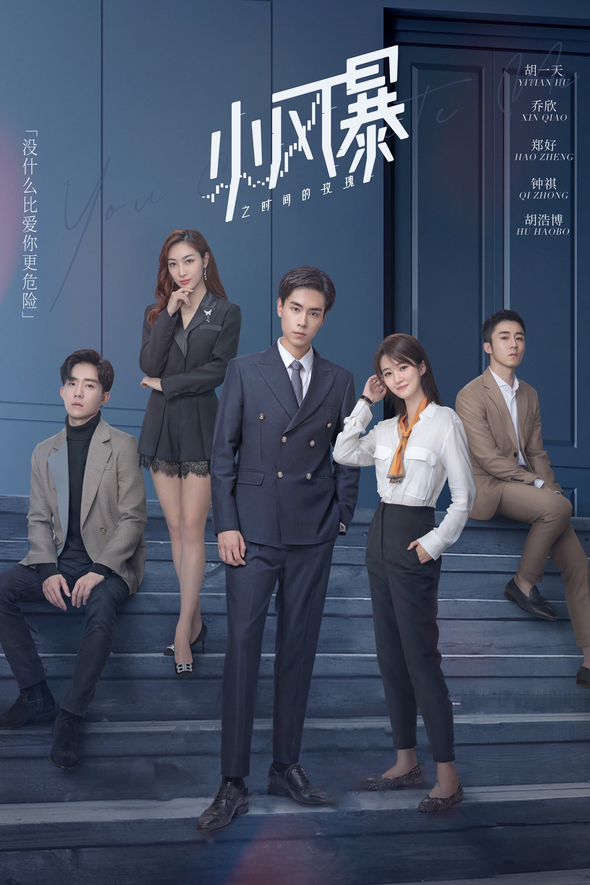 You Complete Me TV Show Poster