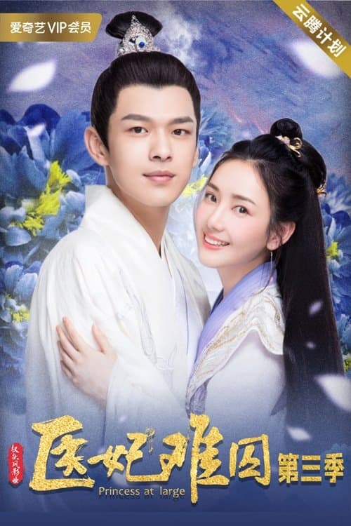 Princess at Large TV Show Poster