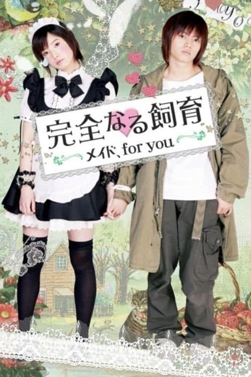 Perfect Education: A Maid for You Movie Poster