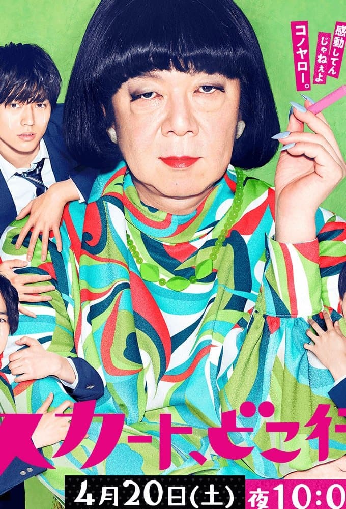 Where Have My Skirts Gone? TV Show Poster