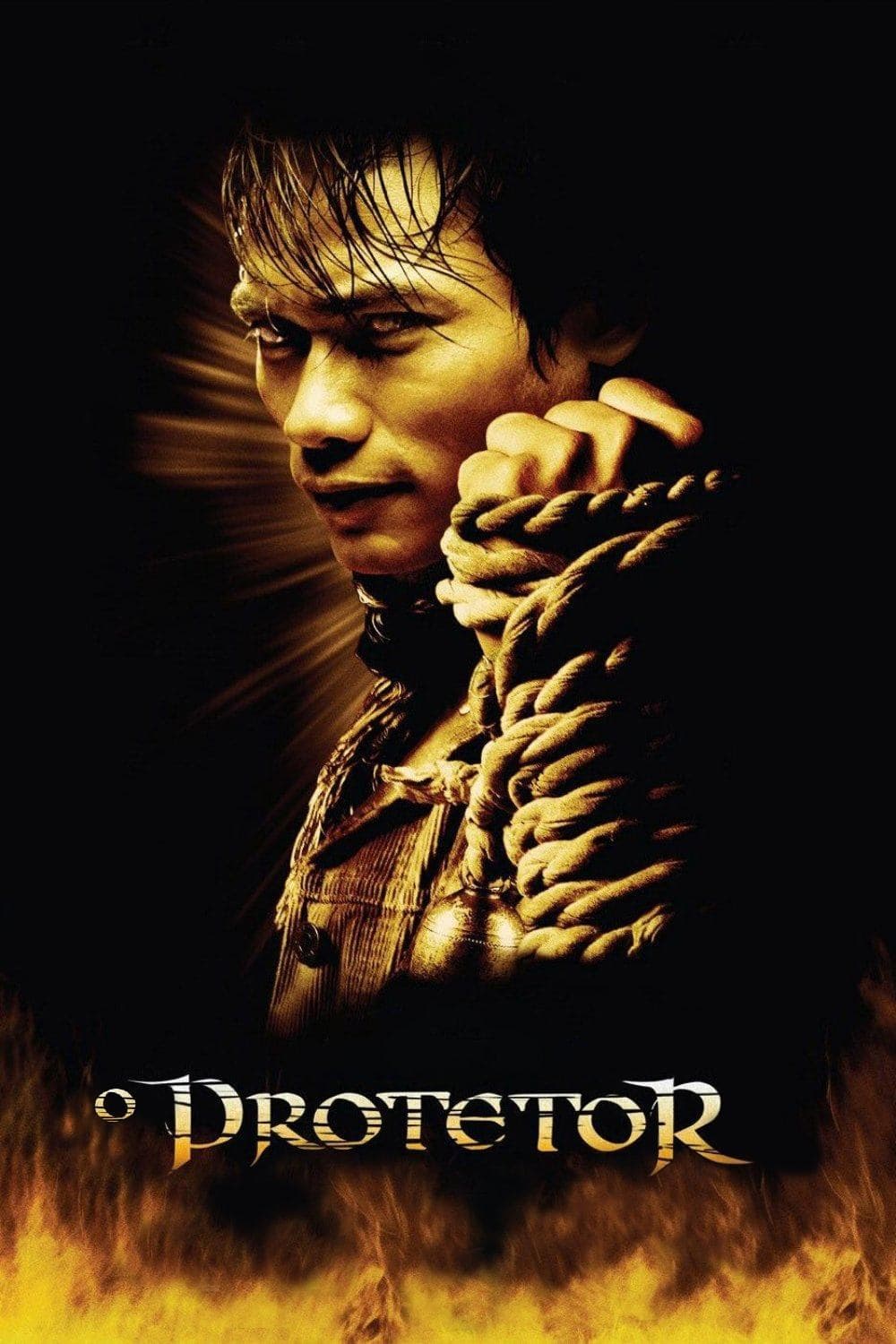 The Protector Movie Poster