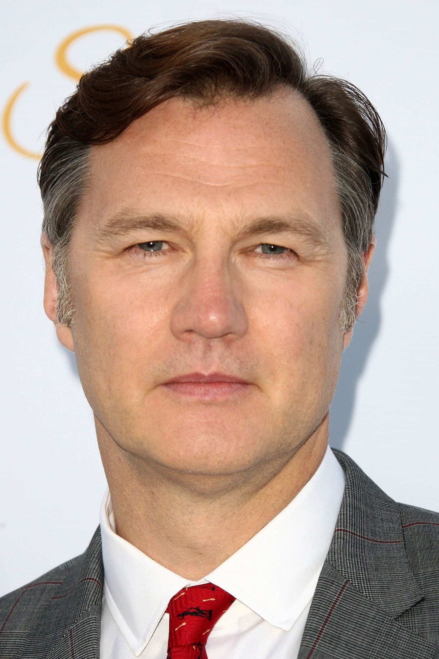 David Morrissey Profile Photo
