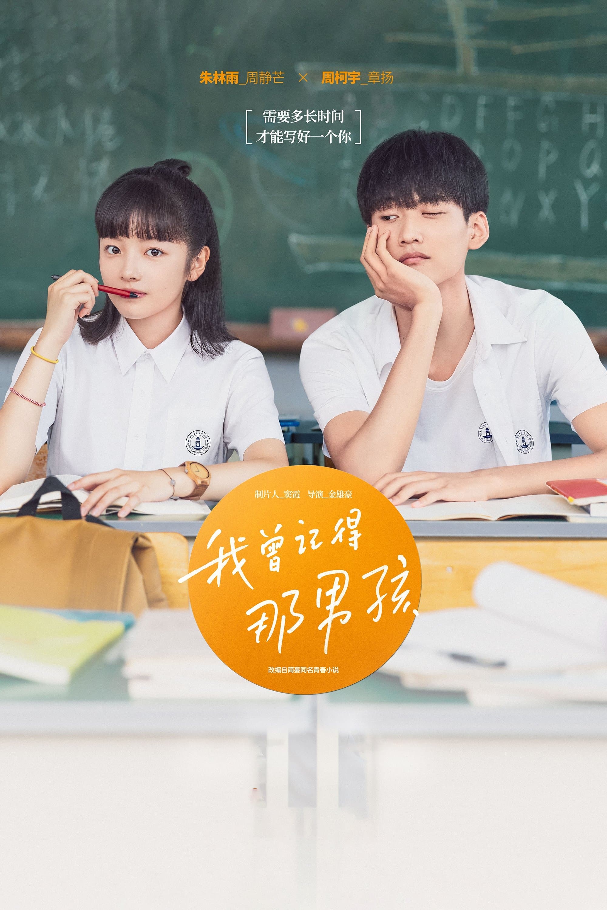 Remember My Boy TV Show Poster