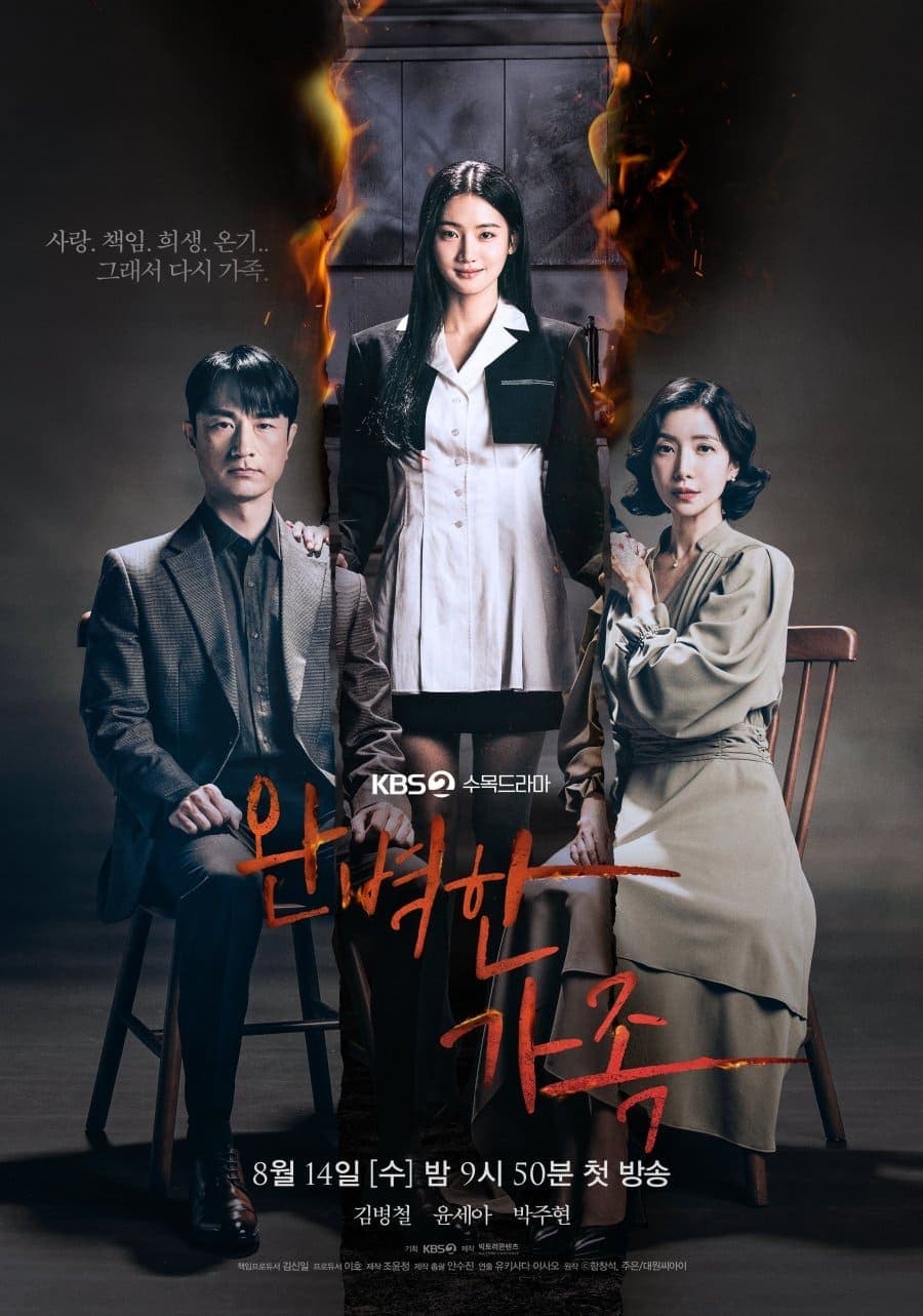 Perfect Family TV Show Poster