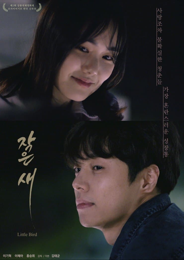 Little Bird Movie Poster