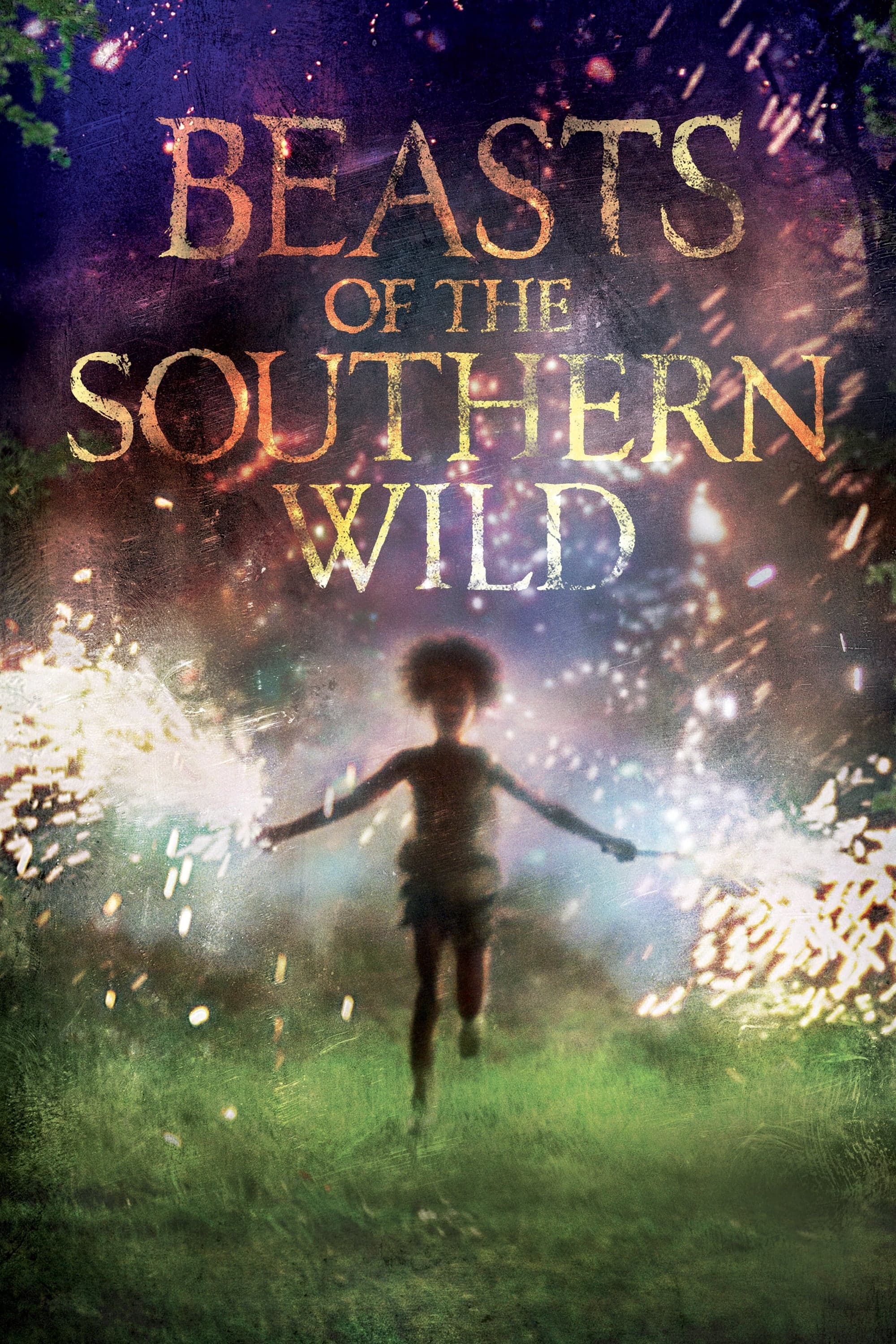 Beasts of the Southern Wild Movie Poster