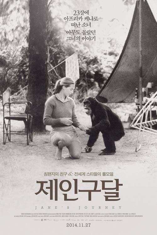 null Movie Poster