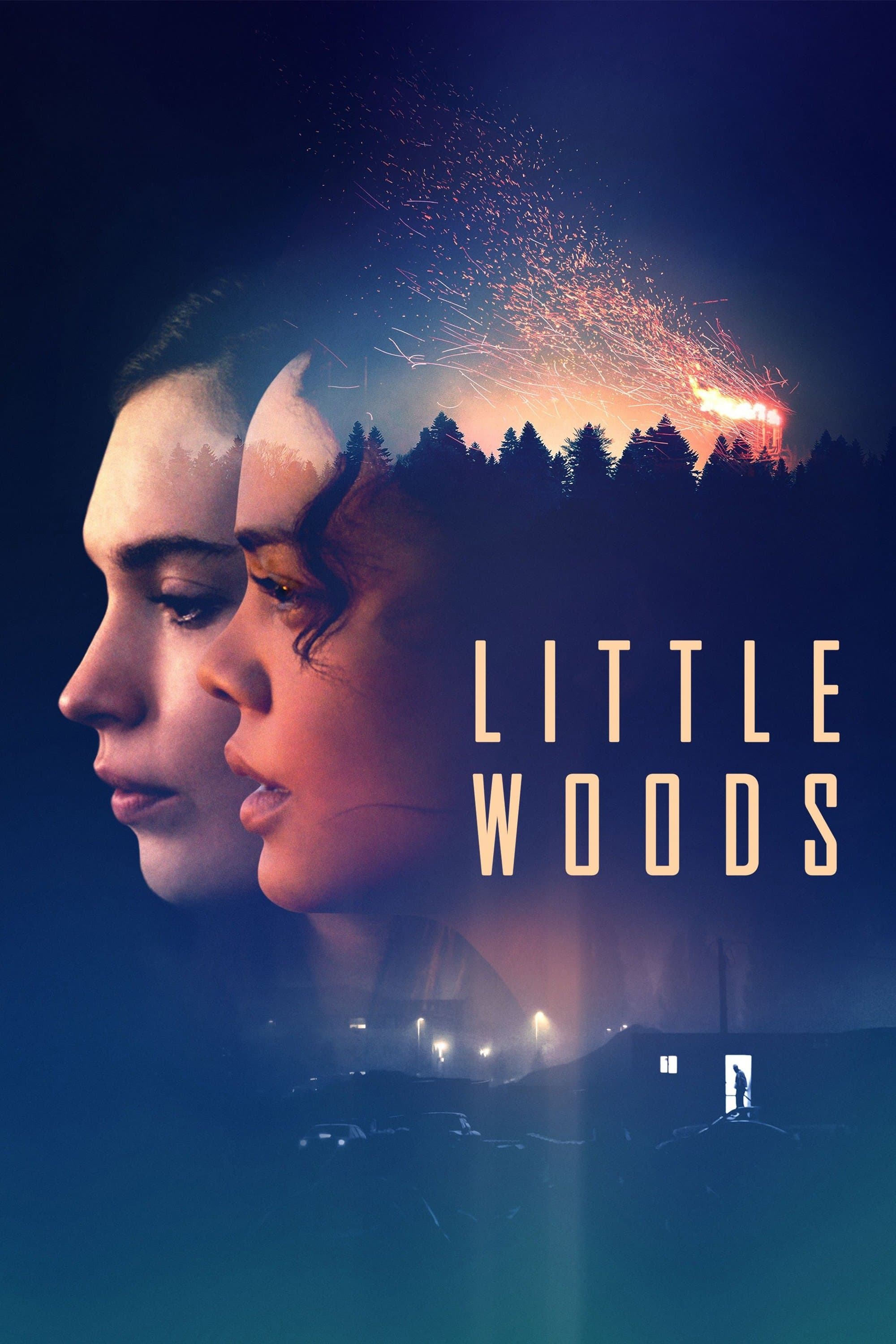 Little Woods Movie Poster