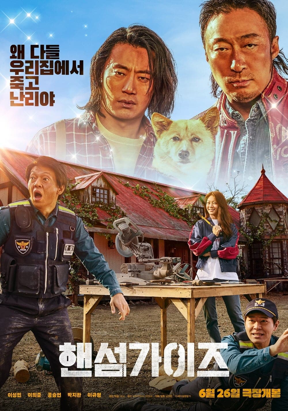 Handsome Guys Movie Poster
