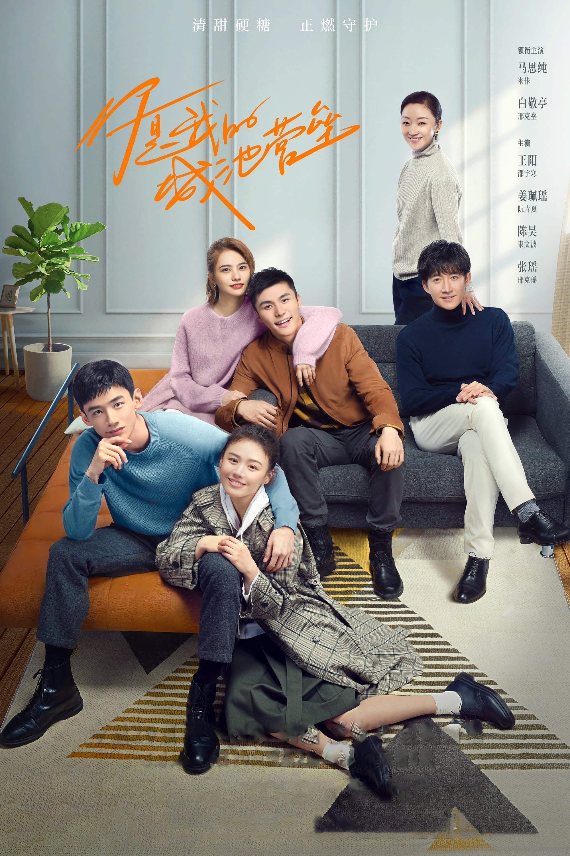 You Are My Hero TV Show Poster