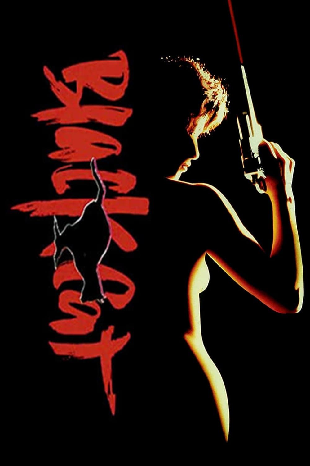 Black Cat Movie Poster