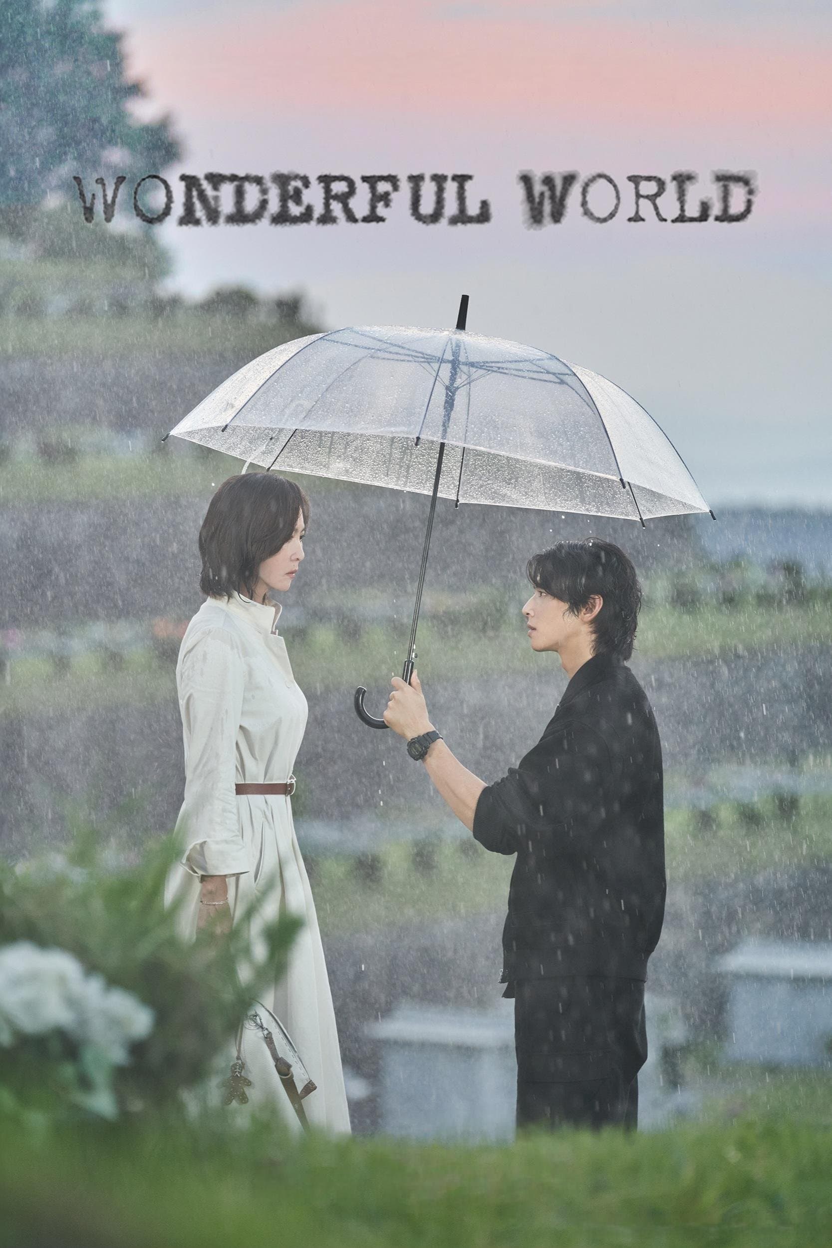 Wonderful World TV Show Poster