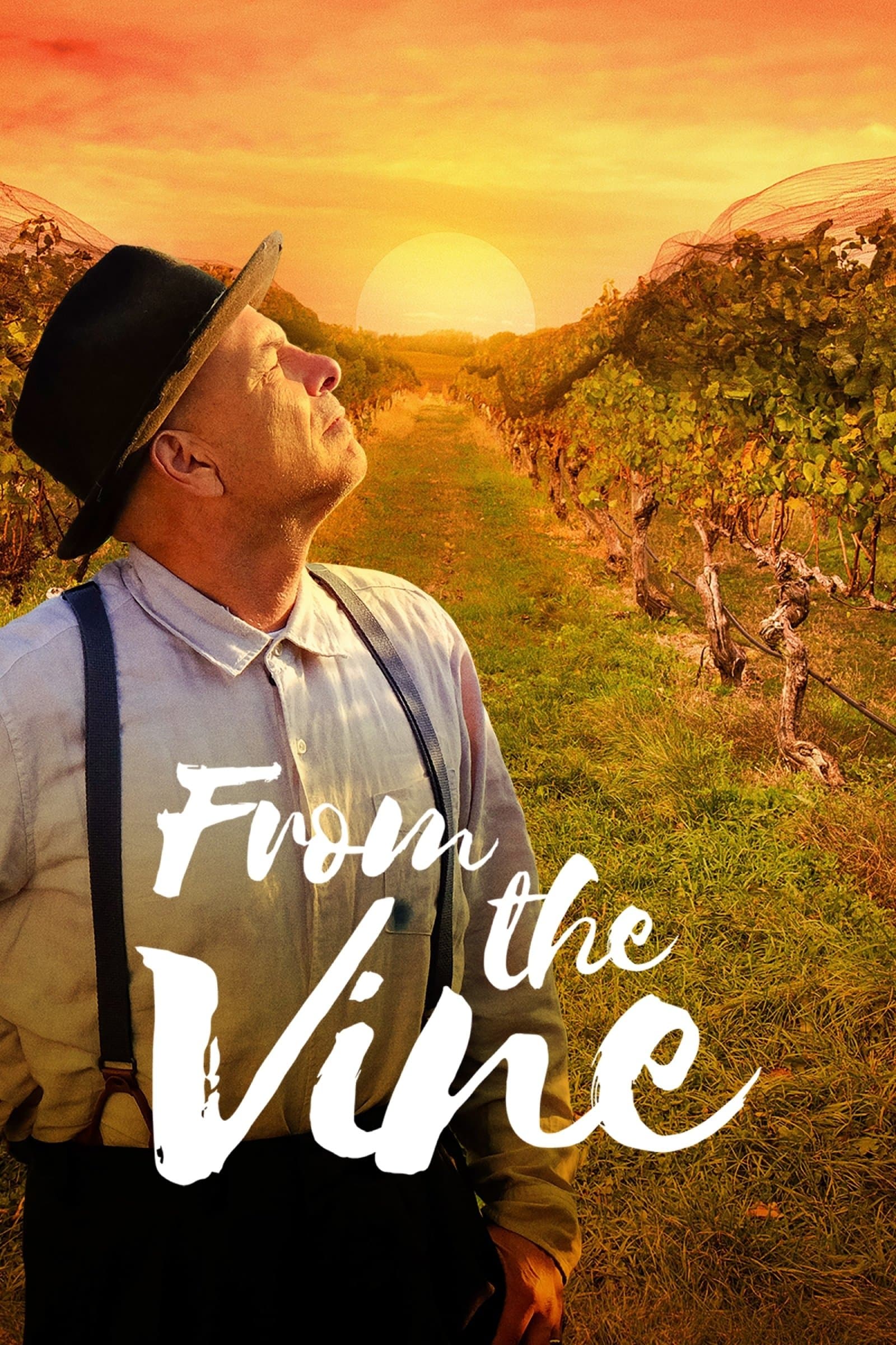 From the Vine Movie Poster