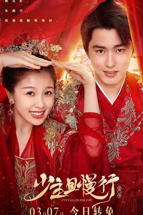 I've Fallen For You TV Show Poster