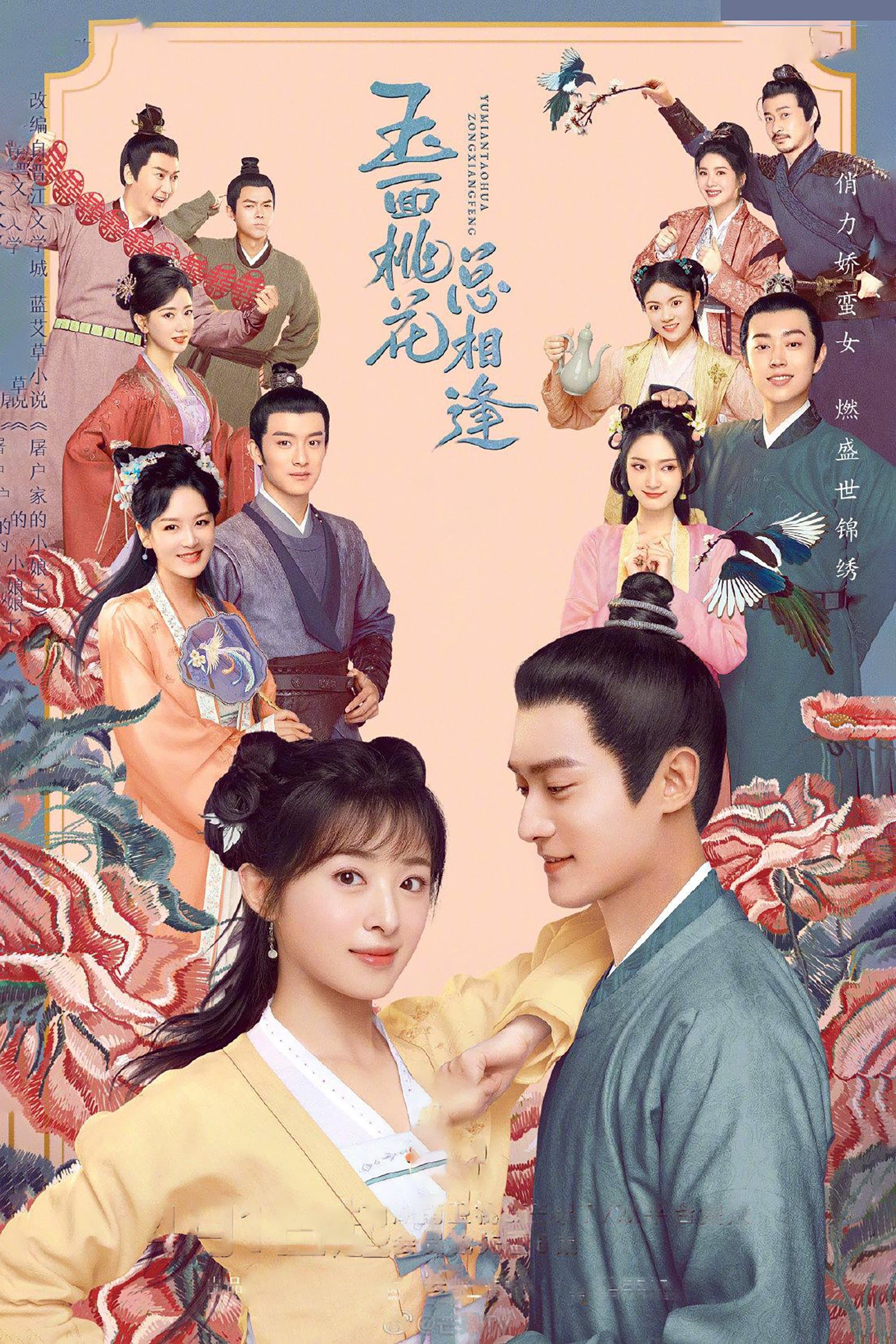 The Lady in Butcher’s House TV Show Poster