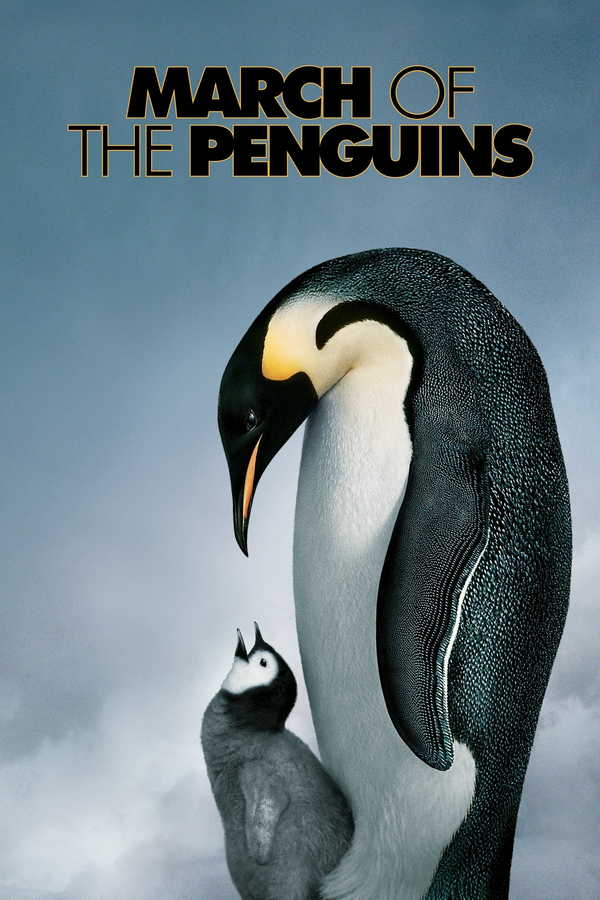 null Movie Poster